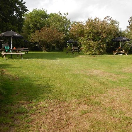 The Royal Oak Inn Dunsford Экстерьер фото